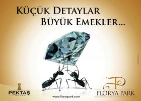 GRAFİK TASARIM